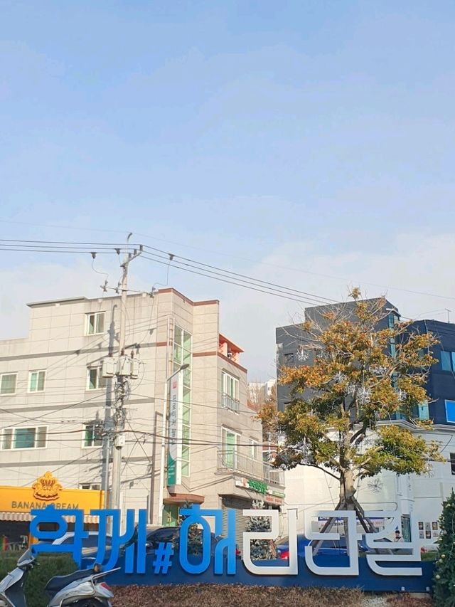 부산의 감성과 트렌드를 담은 골목, 해리단길 🌿✨