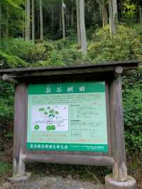 【四季折々の景観が楽しめる棚田】