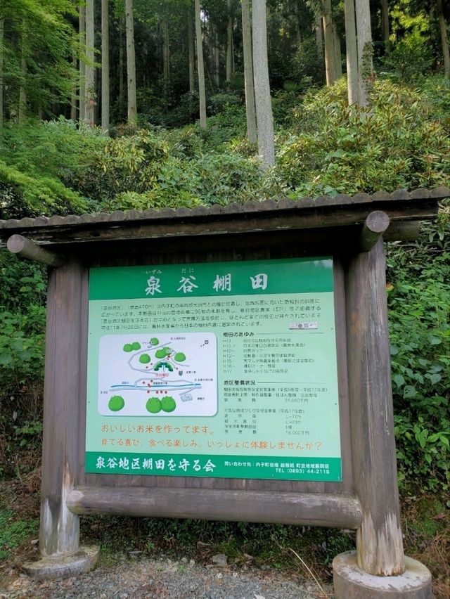 【四季折々の景観が楽しめる棚田】