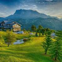 HOUNON RIDGE FARMSTAY