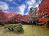 A Symphony of Colors — The Okochi Sanso Villa in Arashiyama