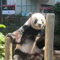 馬來西亞國家動物園