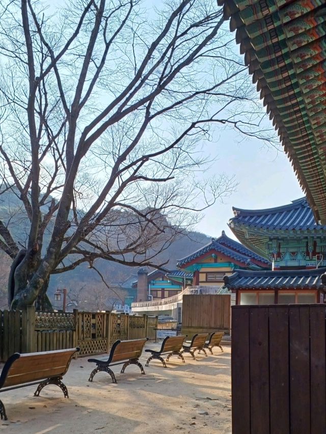 고즈넉한 자연 속, 통도사 여행✨