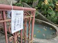 10,000 Buddhas, One Journey: A Peaceful Escape in Sha Tin
