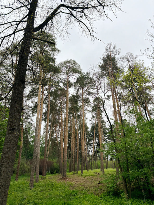Botanical Garden Almaty, Kazasthan😍