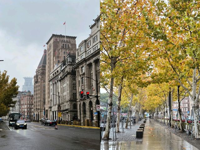 เดินเล่น ชมวิว The Bund @ Shanghai