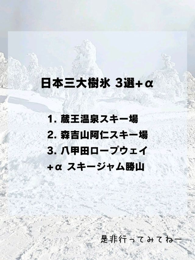 【日本全域】冬ならではの大絶景「日本三大樹氷 3選+α⁡⁡」