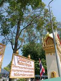 ไหว้พระวัดพัฒนาราม(วัดใหม่) สุราษฎร์ธานี