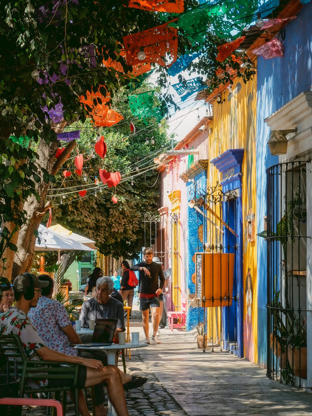 かわいいが止まらない街オアハカ🌵🇲🇽💘