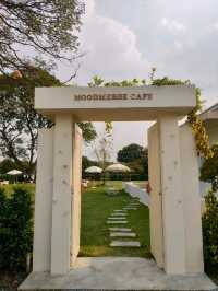 ออกเดทคาเฟ่ลับ ย่านคลองสามวา