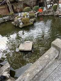 【福岡観光】御神木の大きさに驚き🌳地元で愛される神社⛩