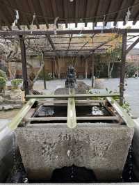 【福岡観光】御神木の大きさに驚き🌳地元で愛される神社⛩