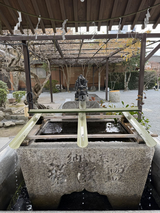 【福岡観光】御神木の大きさに驚き🌳地元で愛される神社⛩