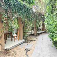 Sicha’s cafe and restaurant จันทบุรี