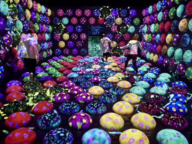 福岡TeamLab Forest，超乎想像的數位藝術展覽！✨