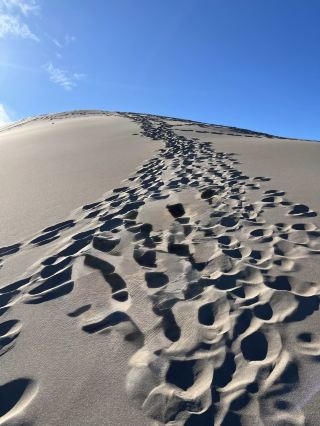 Waves of Gold – My Journey to the Hidden Gem of Great Sand Dunes National Park