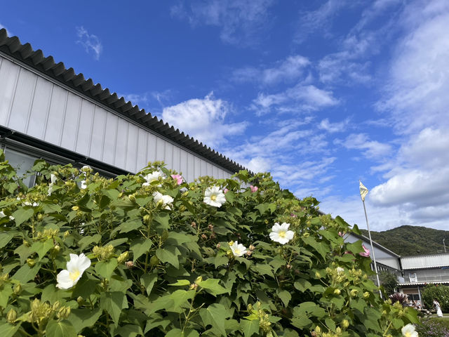 道の駅 保田小学校