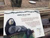 🐾 🐊✅Audubon Zoo（ニューオーリンズ）攻略ガイド – 自然と動物たちの楽園を満喫！