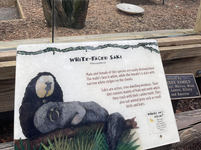 🐾 🐊✅Audubon Zoo（ニューオーリンズ）攻略ガイド – 自然と動物たちの楽園を満喫！