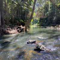 Lamington National Park: A Trekker's Paradise