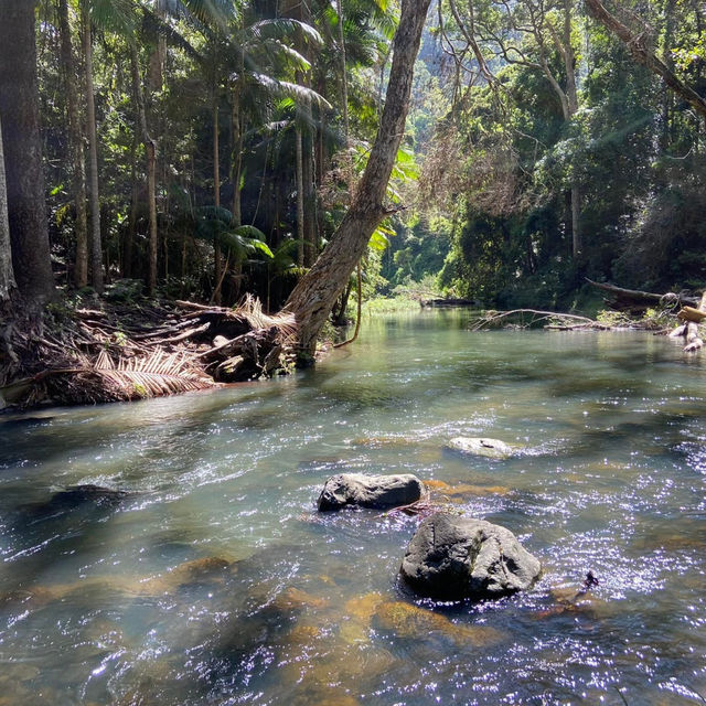 Lamington National Park: A Trekker's Paradise