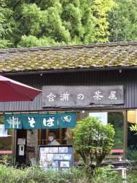 Nikko National Park: An Outdoor Paradise of Mountains, Waterfalls, and History