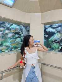 บึงฉวาก สวรรค์ของคนรักปลา 🐟🐠