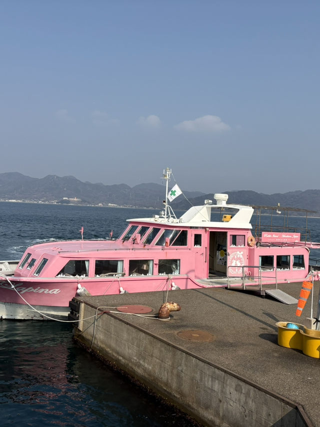 可愛兔子島
