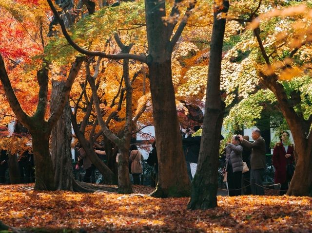 Tofukuji temple