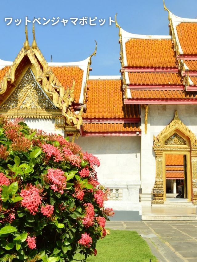 【タイ🇹🇭】バンコクで行きたいお寺10選