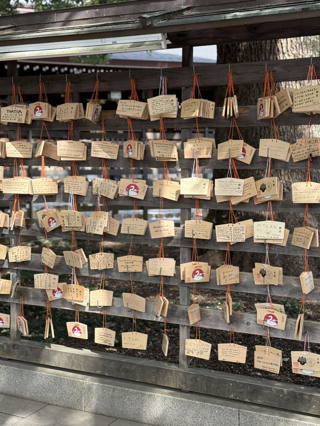 The Perfect Stroll: Meiji Jingu & Jingu Gaien