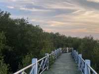 พื้นที่สีเขียว ป่าในเมือง มอ.ปัตตานี 🌿