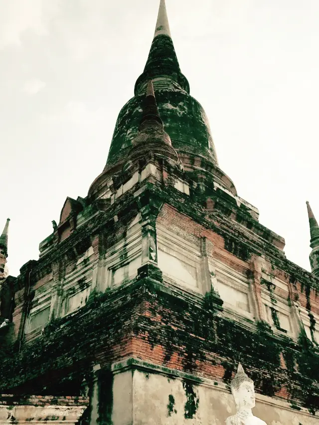 Serenity Amidst Ancient Grandeur – Wat Yai Chai Mongkhon
