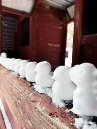 長野景點| 户隱神社(奧社) ~ 白雪中的杉樹林太美了！