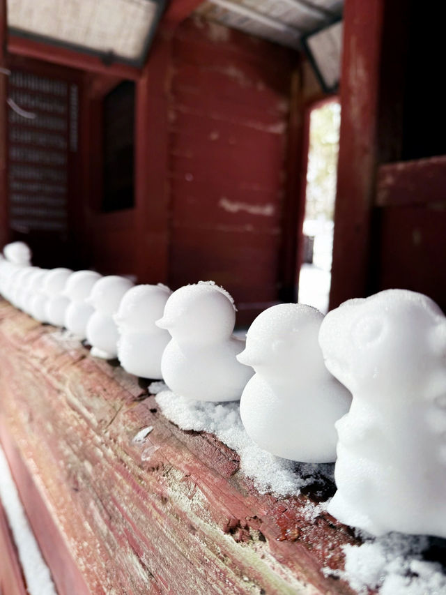 長野景點| 户隱神社(奧社) ~ 白雪中的杉樹林太美了！