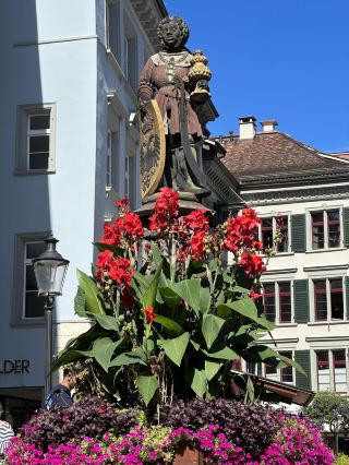 Step Back in Time: A Stroll Through Schaffhausen Old Town
