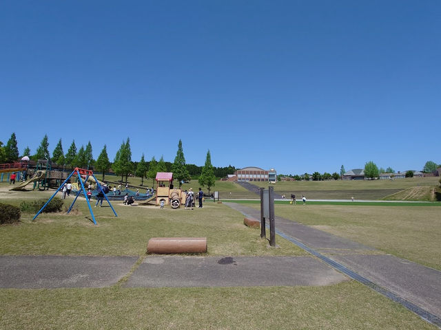ポケフタ探し🤍【鹿深夢の森】