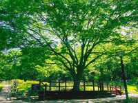 💛북한산 둘레길 데이트, 난이도 하 9구간~10구간🌳
