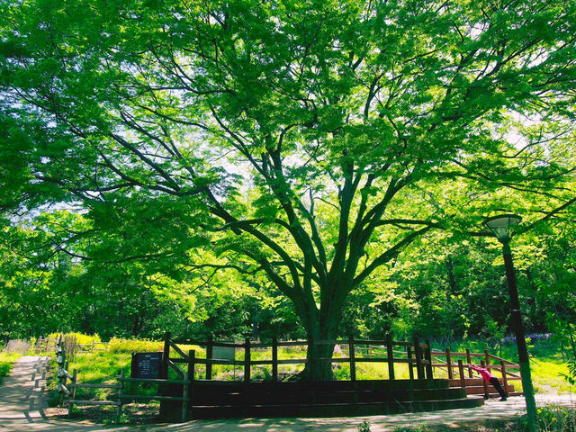 💛북한산 둘레길 데이트, 난이도 하 9구간~10구간🌳
