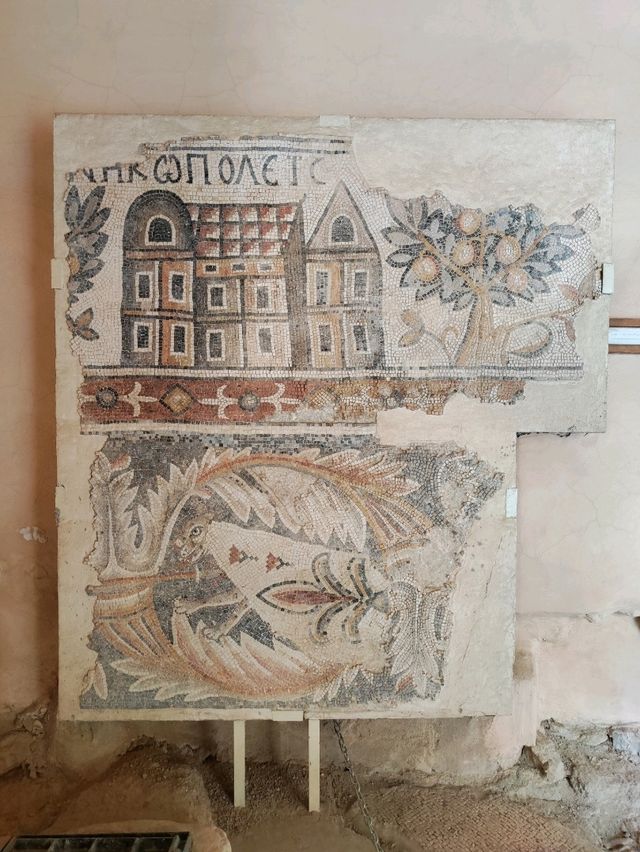 約旦米底巴 Madaba