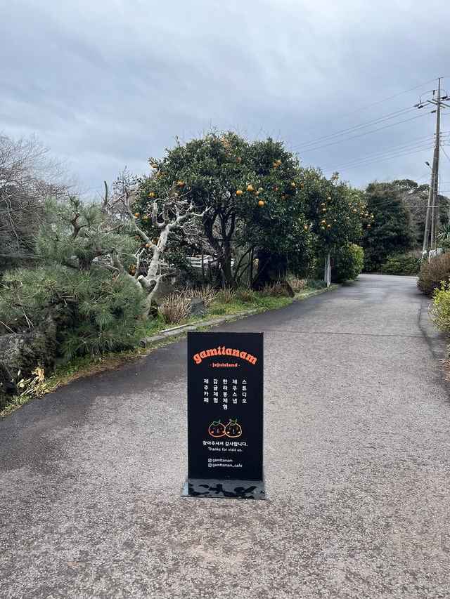 Tangerine picking cafe 