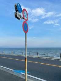 Kamakura Trip