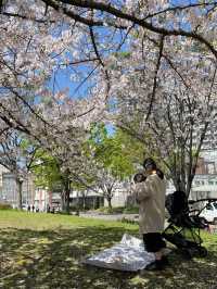 🇯🇵 大阪 🌸 扇町公園的松弛感