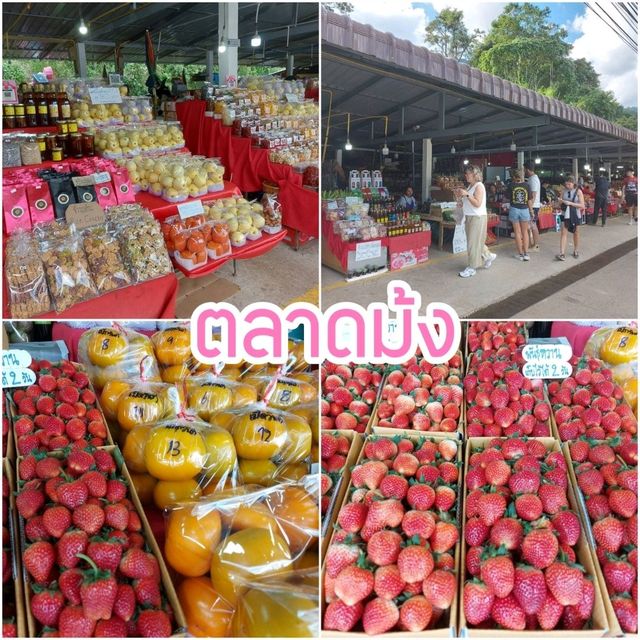 แพลนเที่ยวดอยอินทนนท์ 