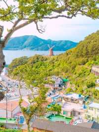 싱그러움 가득한 거제 여행 “바람의 언덕”🌿🤍