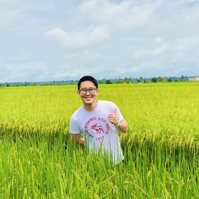 “Spring Escape: Sekinchan Green Paddy”