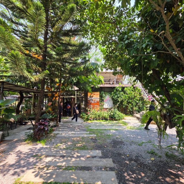 Something rice workshop & cafe’ 🌾✨️