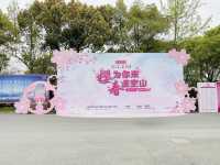 Gucun Park Cherry Blossoms Guide