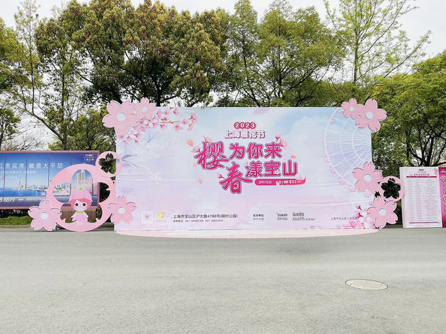 Gucun Park Cherry Blossoms Guide
