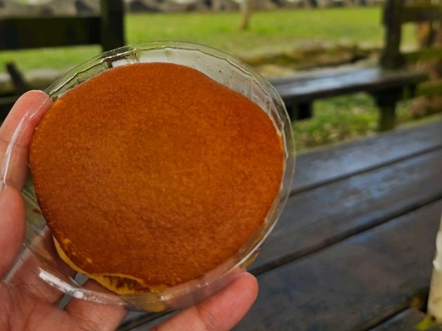 花蓮瑞穗牧場，擁抱田園與鮮奶香氣的悠閒時光。